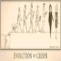 Cartoon: Evolution of CRISPR, Panel 4 of 4, conceived by Phil Ness, drawn by Reeve, 2022.